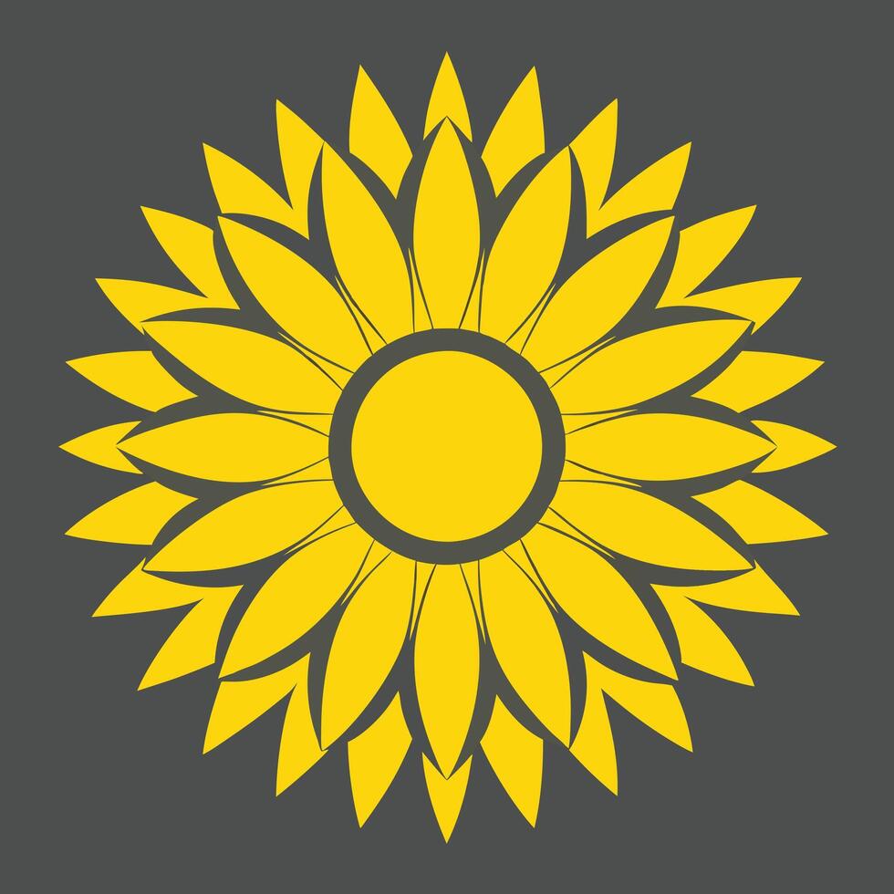 a yellow sunflower on a gray background. vector