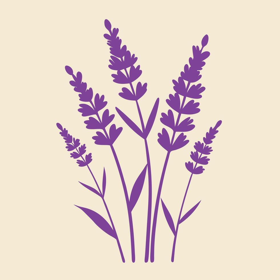 lavender flowers on a beige background vector