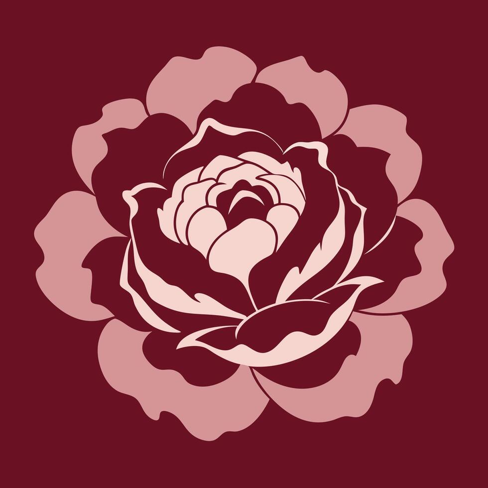a rose on a maroon background vector