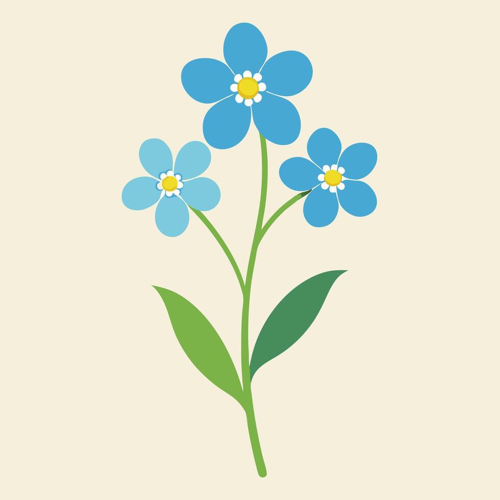 forget me not flowers illustration vector