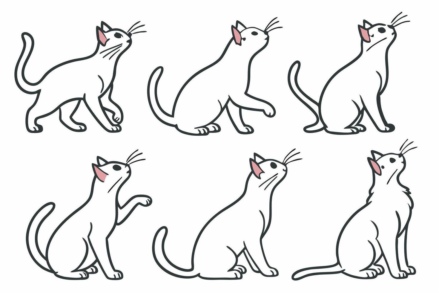 a set of six different cat poses vector