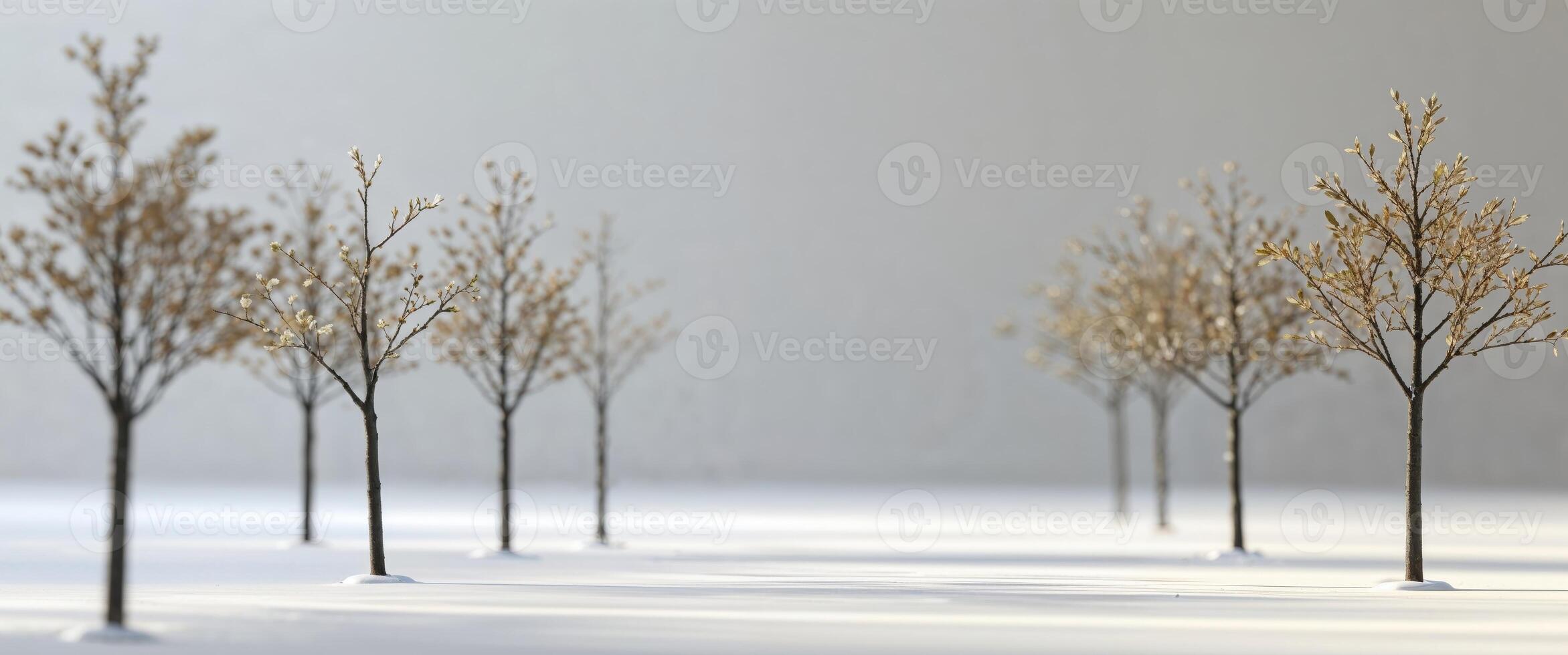 artificial tree line with travel elements. photo