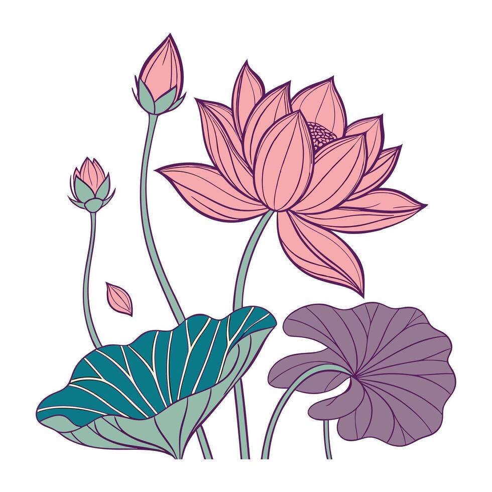 a lotus flower and leaves are shown in this illustration vector