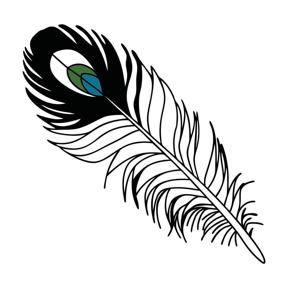 a black and white drawing of a feather vector