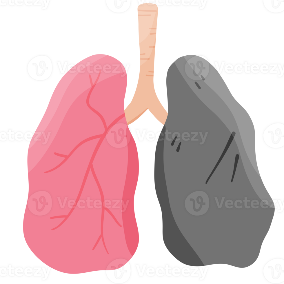Healthy vs. Damaged Lungs png