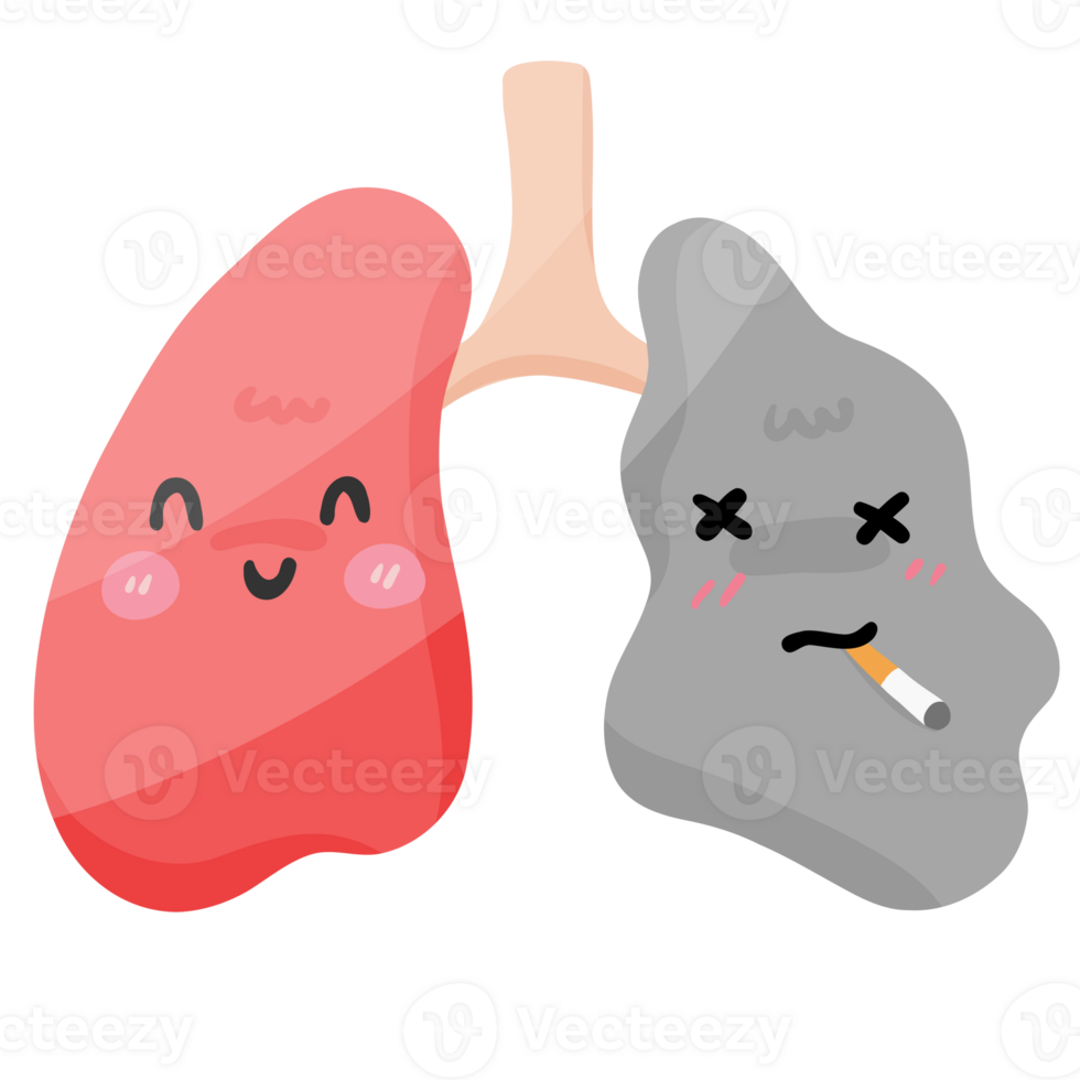 Smoking Effects on Lungs Anti-Smoking Awareness png