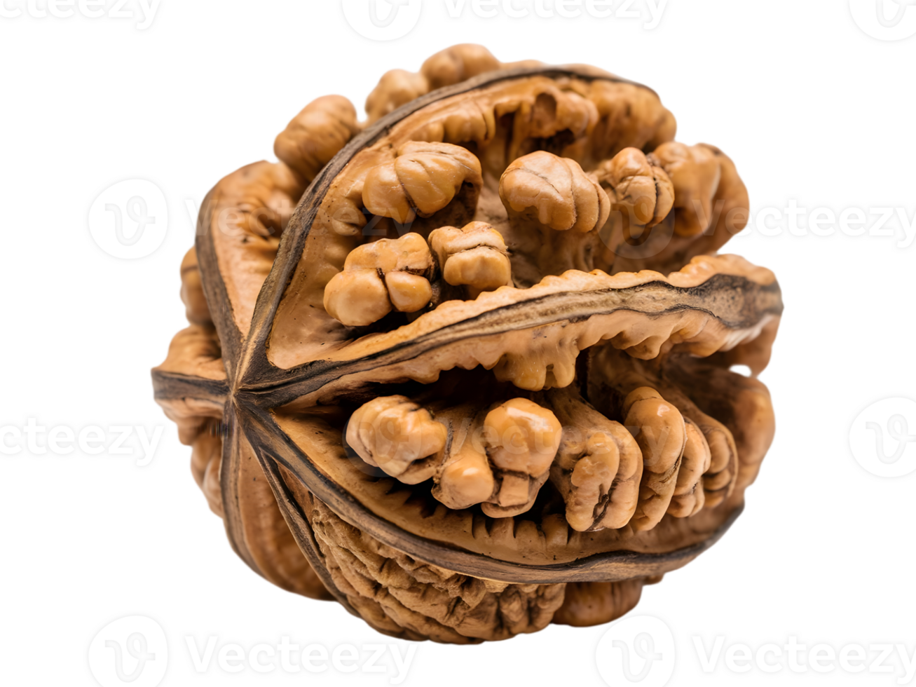 Close-up of a walnut shell, showcasing intricate details. png