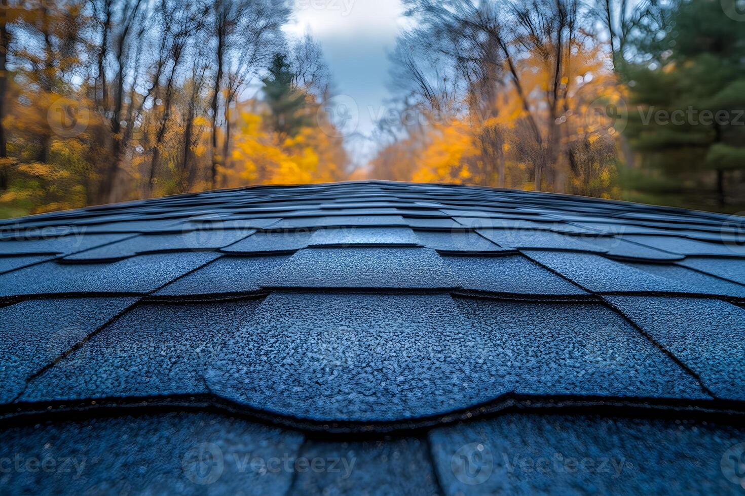 Autumn Landscape with Shingled Roof and Forest Path - Design for Seasonal Decor photo