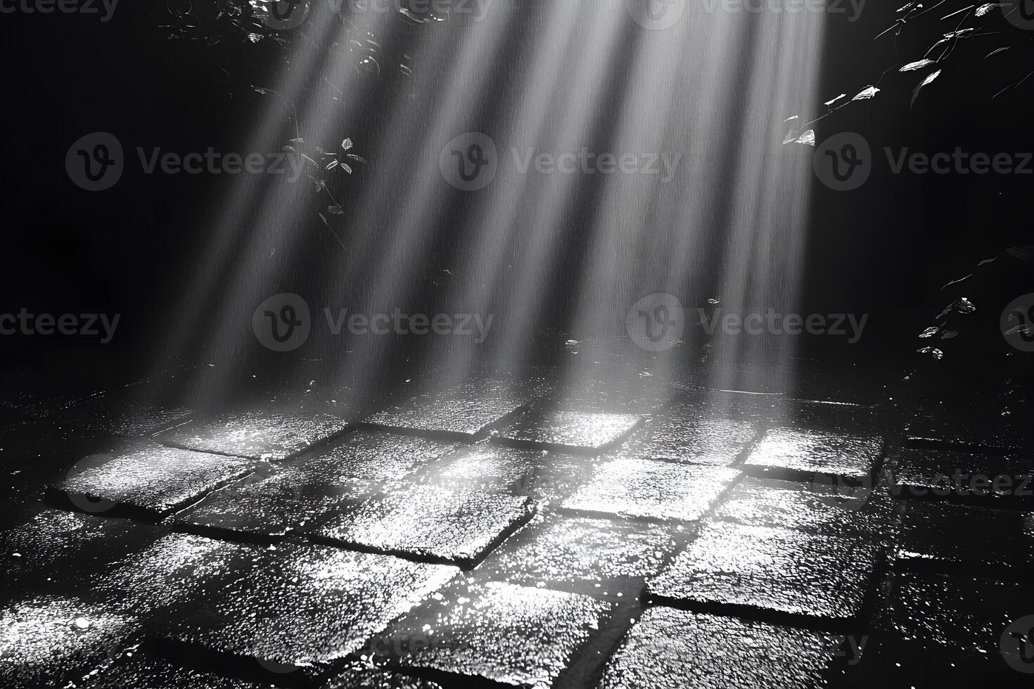 Ethereal Sunbeams Illuminating Wet Cobblestones in a Serene Garden Setting photo