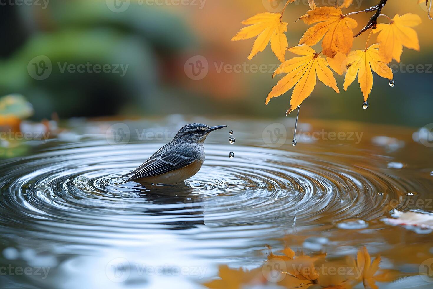 Serene Autumn Scene Bird in Rippling Water Beneath Golden Leaves photo