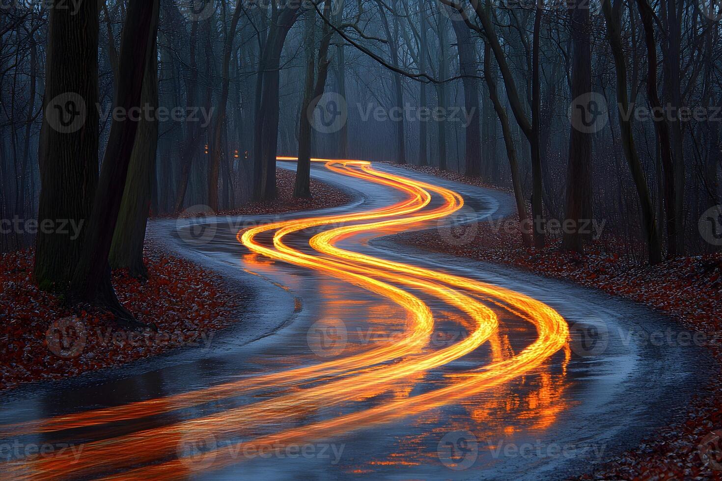 Winding Forest Road with Light Trails at Twilight for Atmospheric Adventure Design photo
