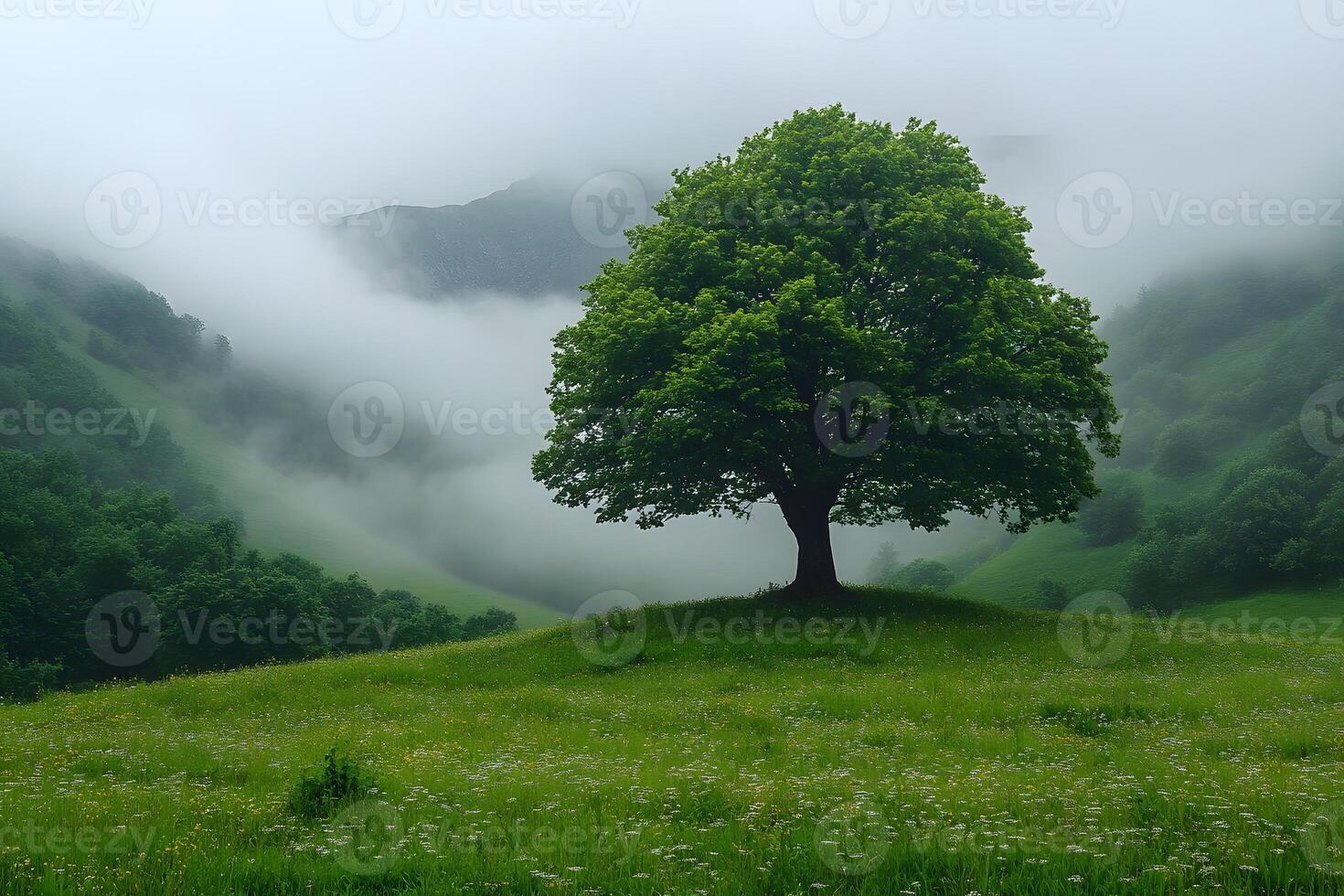 Serene Single Tree in Misty Green Valley - Nature Background for Posters and Prints photo