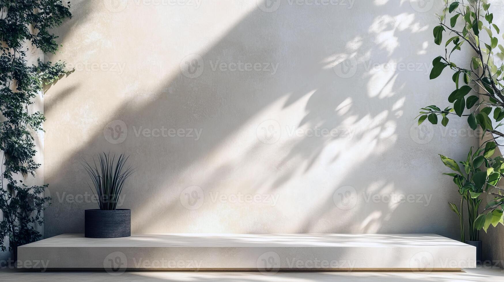 Minimalist interior with plants and soft shadows in sunlit space photo