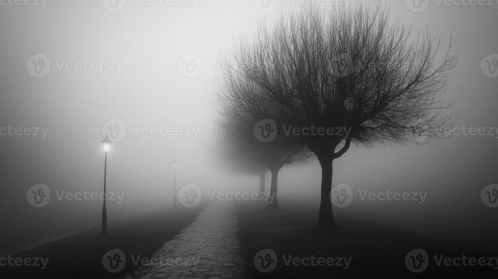 Mystical foggy park path with bare trees and vintage street lamps at dawn photo