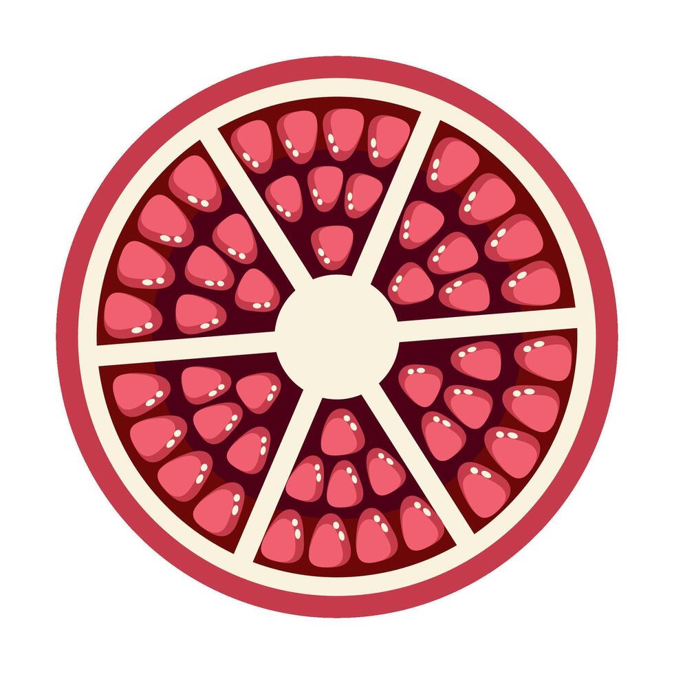 Pomegranate slice in flat technique vector