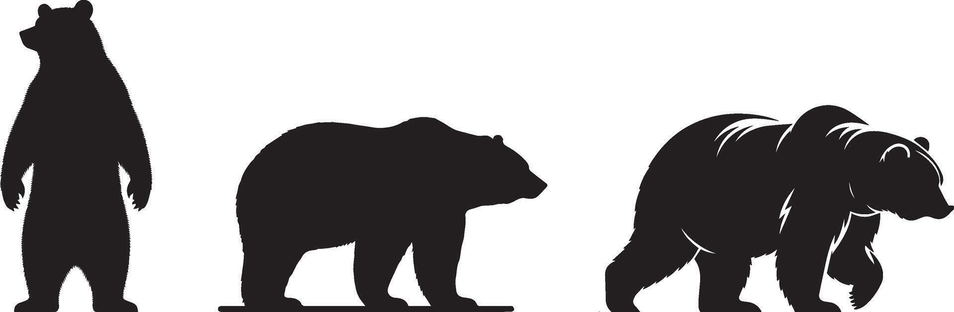Bear Silhouettes on White Background vector