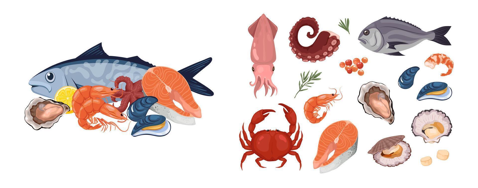 Cartoon set ocean seafood. Shrimp or crab, different fish. Culinary delicacies ingredients. Seafood vector