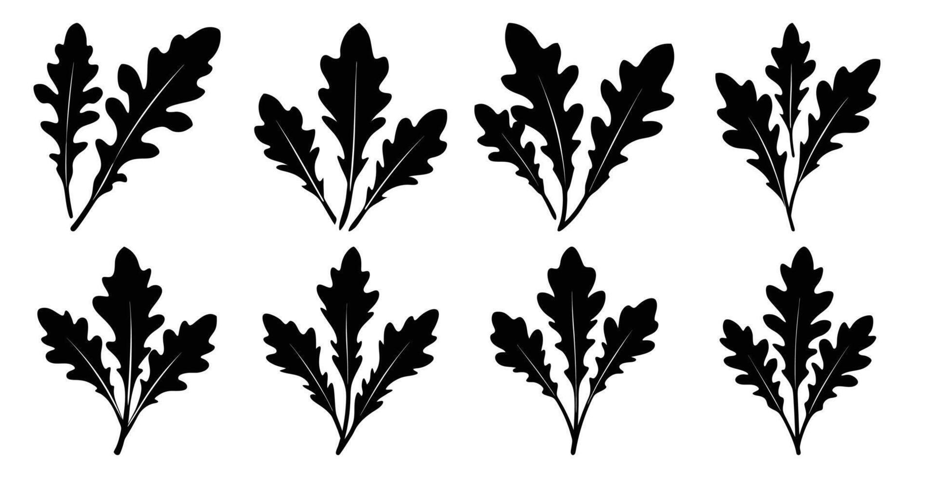 Collection of Arugula Leaf Silhouettes, Versatile graphics for culinary, botanical, and design projects. vector