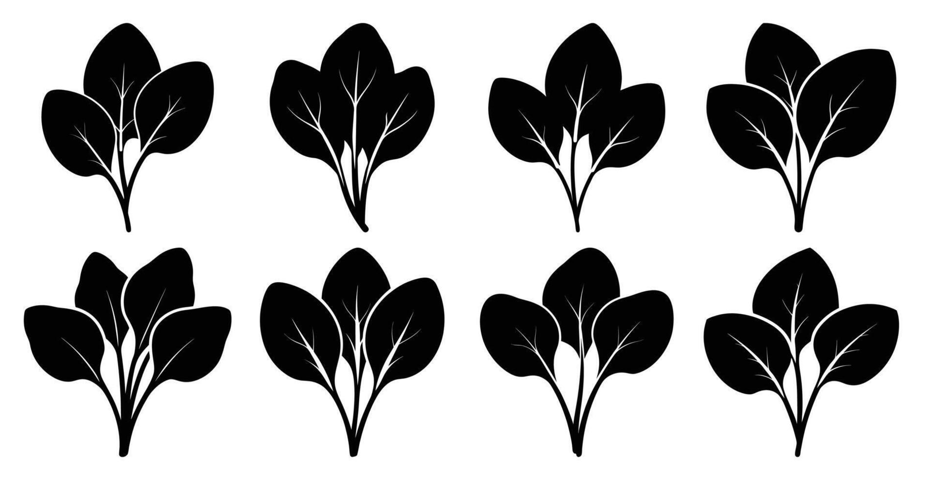 Collection of spinach leaf silhouettes. Perfect for healthy food branding, menus, and recipes. vector