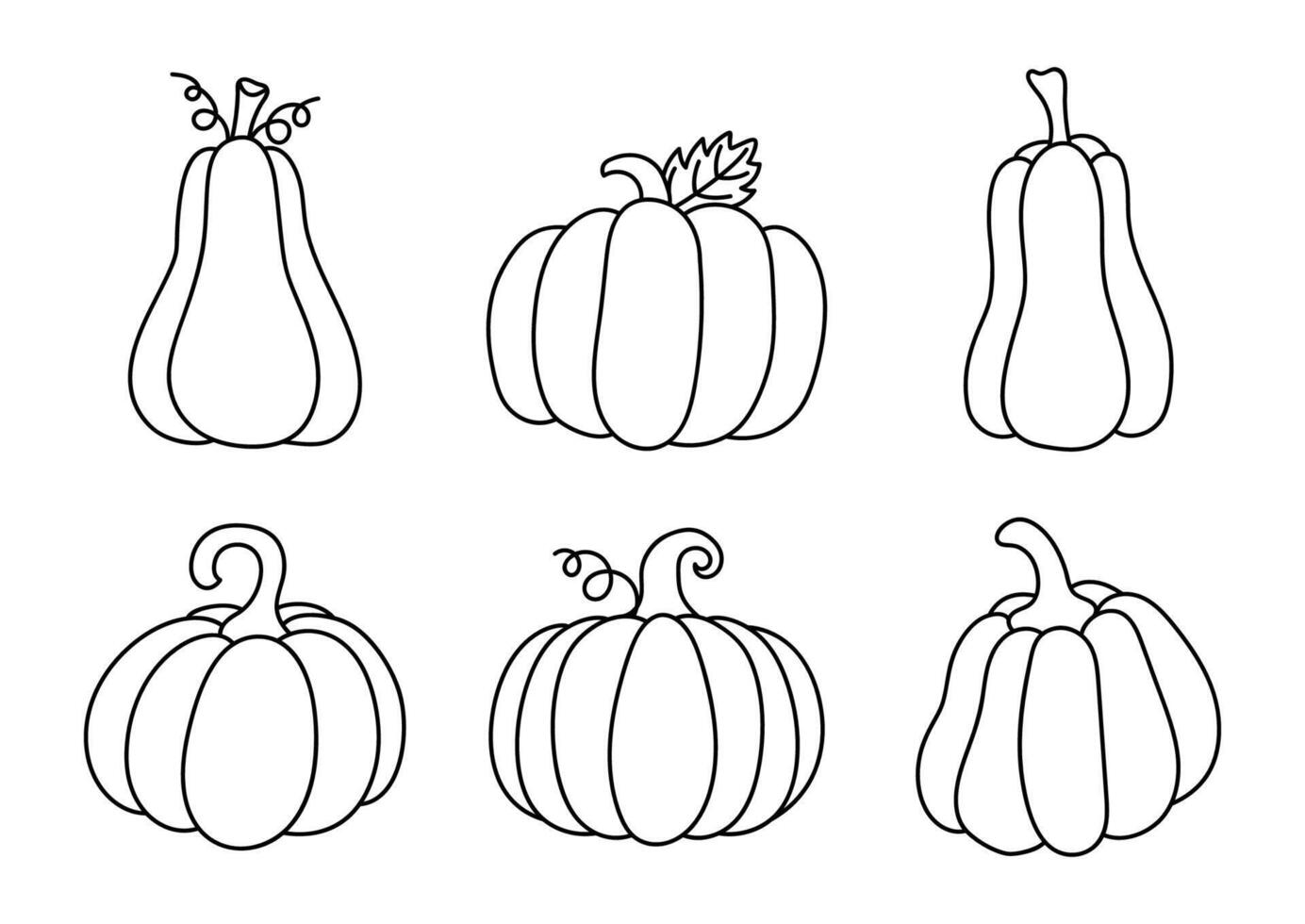 Hand drawn doodle Pumpkins collection. Linear harvest set on white background vector