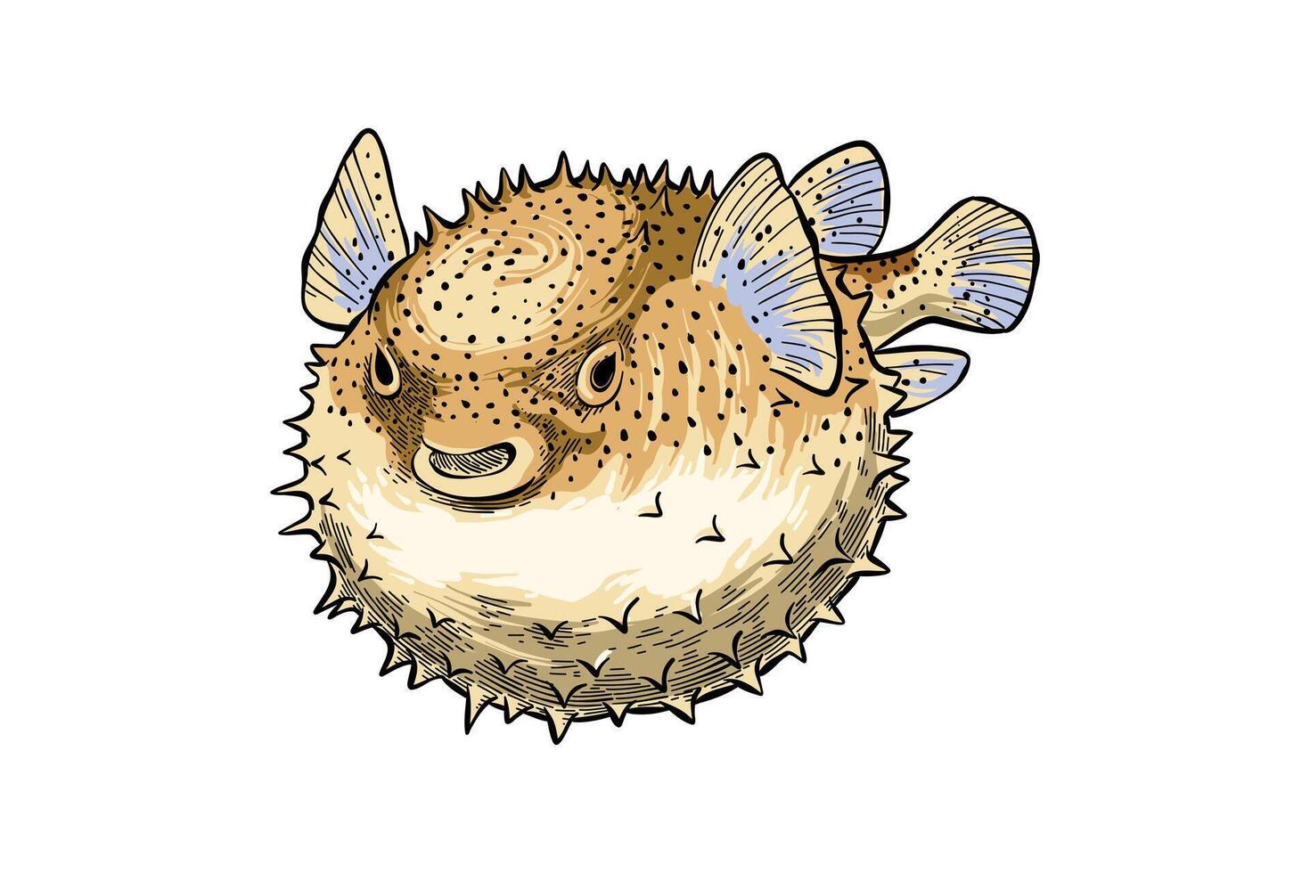 illustration of puffer fish inflating vector