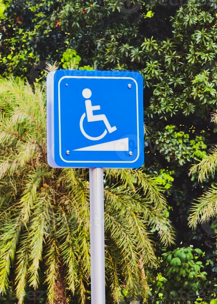 Blue Accessibility Sign with Wheelchair Symbol Near Lush Greenery and Palm Trees in a Public Park Setting photo