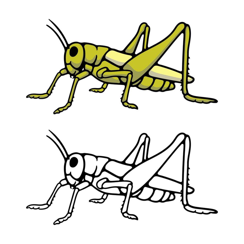 illustration cartoon grasshopper on white background vector