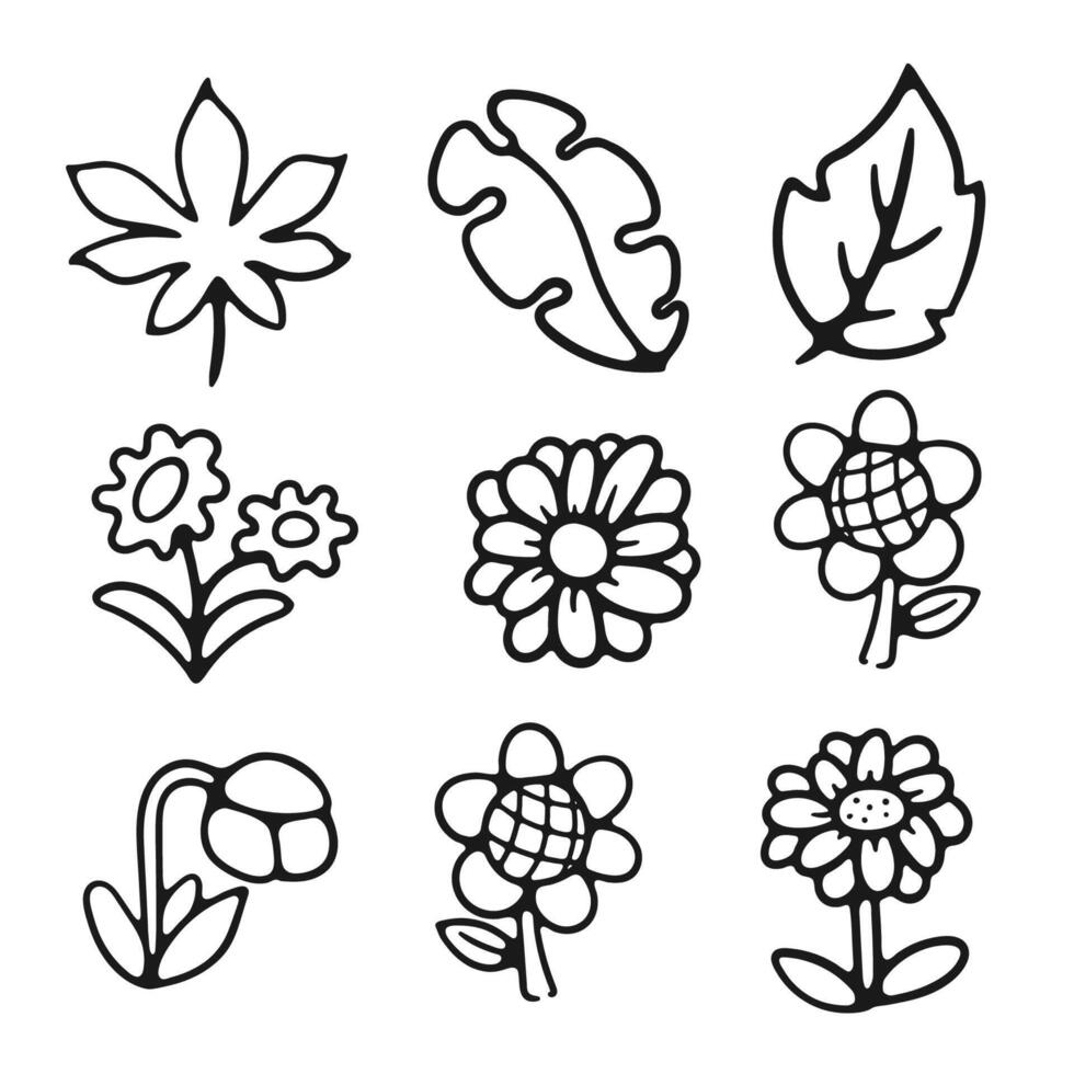 illustration hand draw flower on white background good for coloring book vector