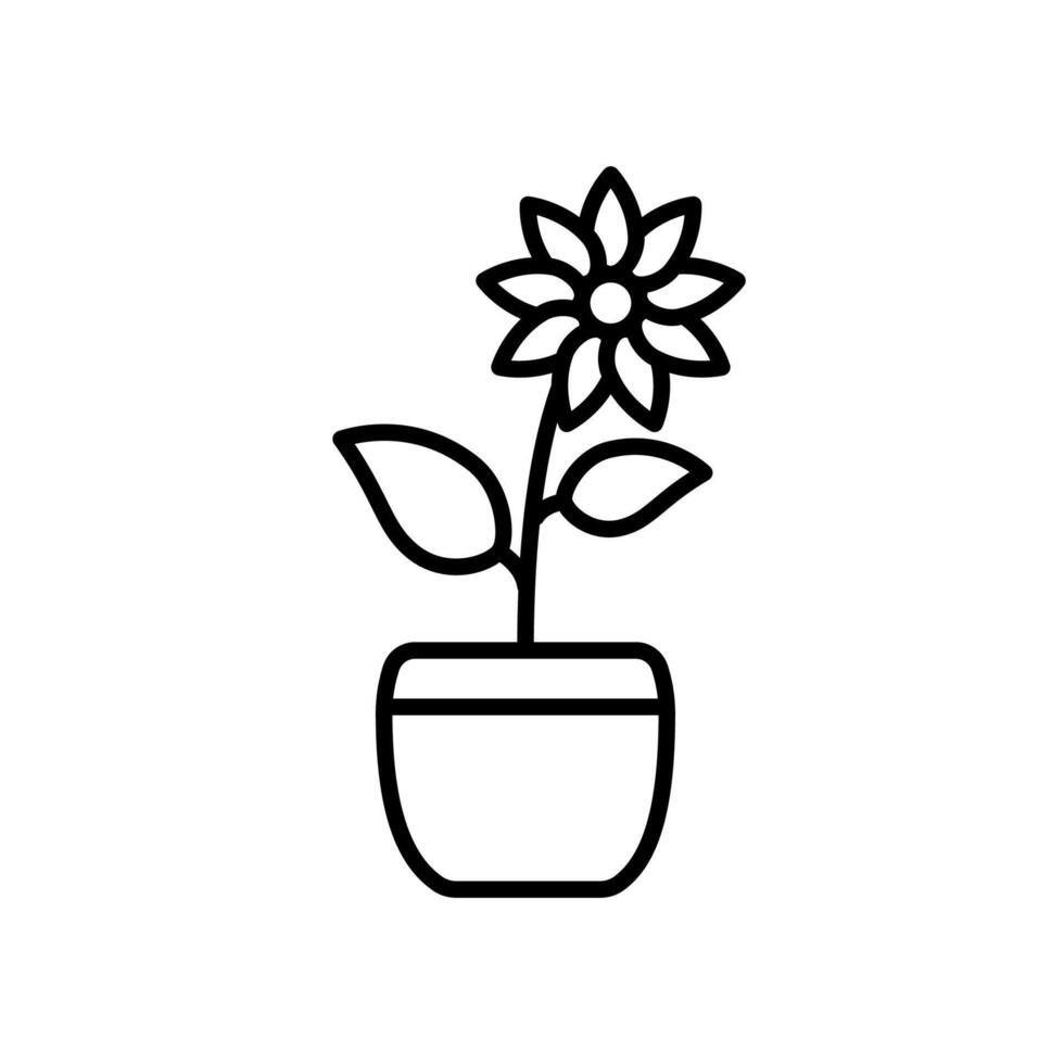 Chrysanthemum flower icon in pot for garden decoration vector
