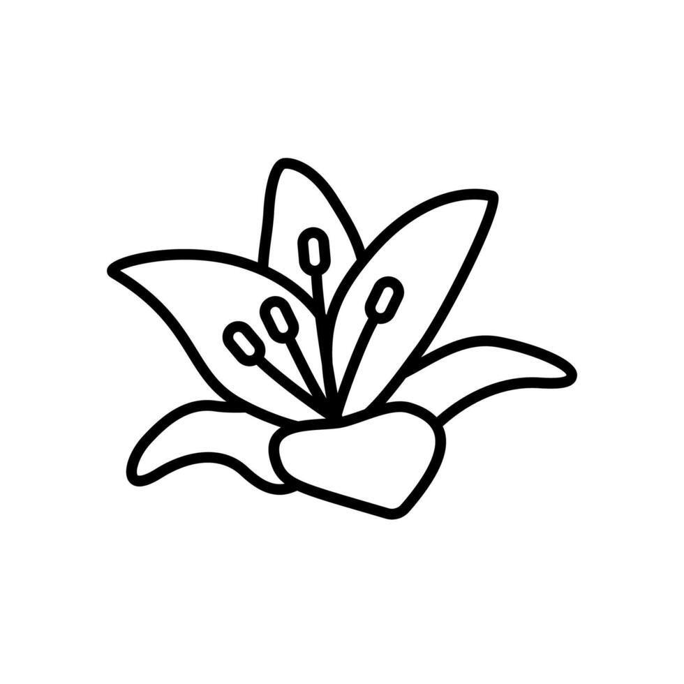 Icon of beautiful lilies blooming in spring vector
