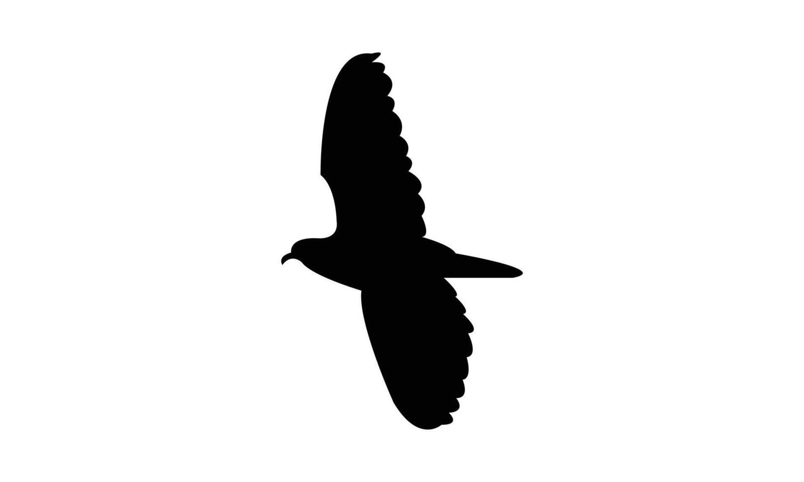 Flying African green pigeon bird Silhouette Design vector