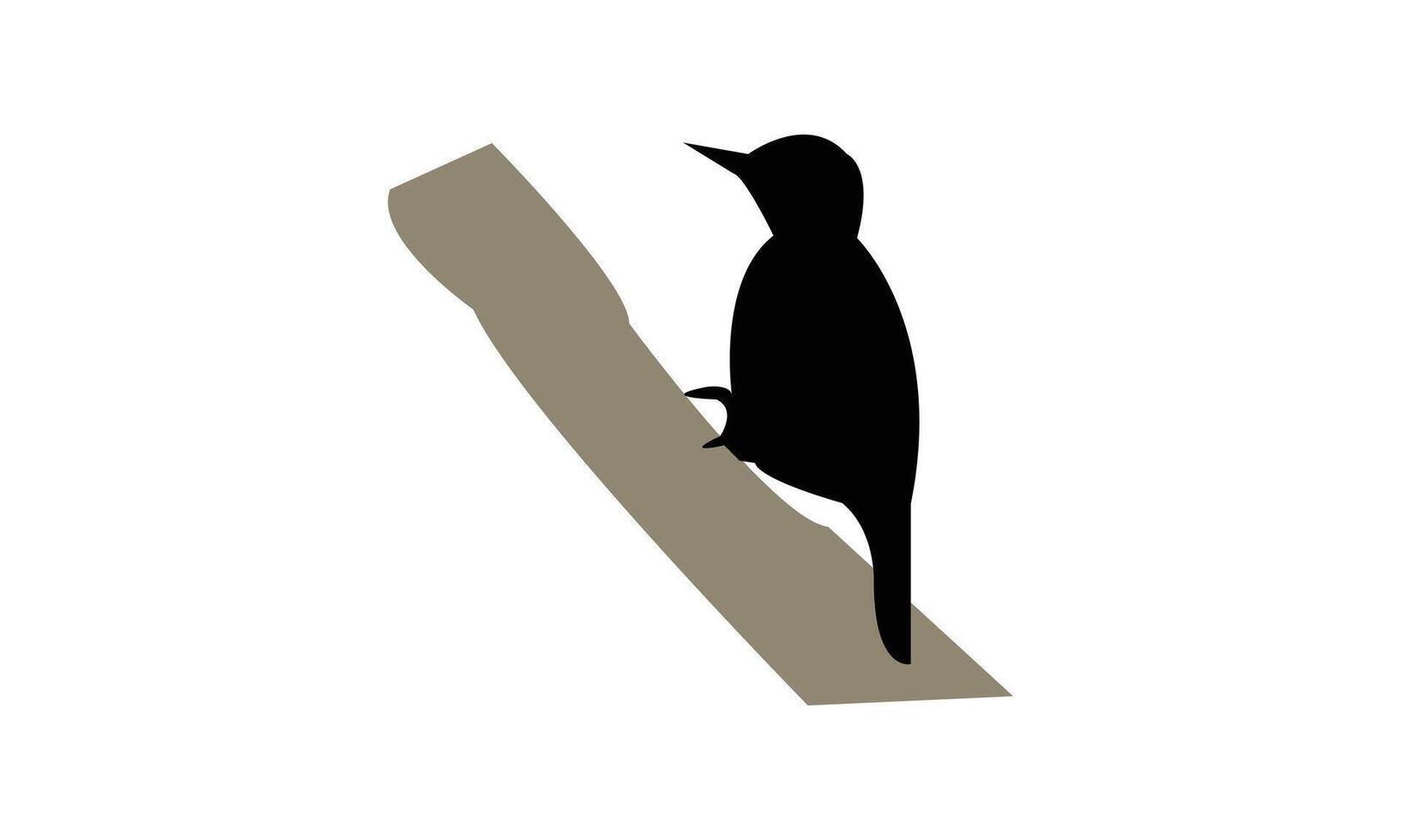 African grey woodpecker bird black Silhouette vector