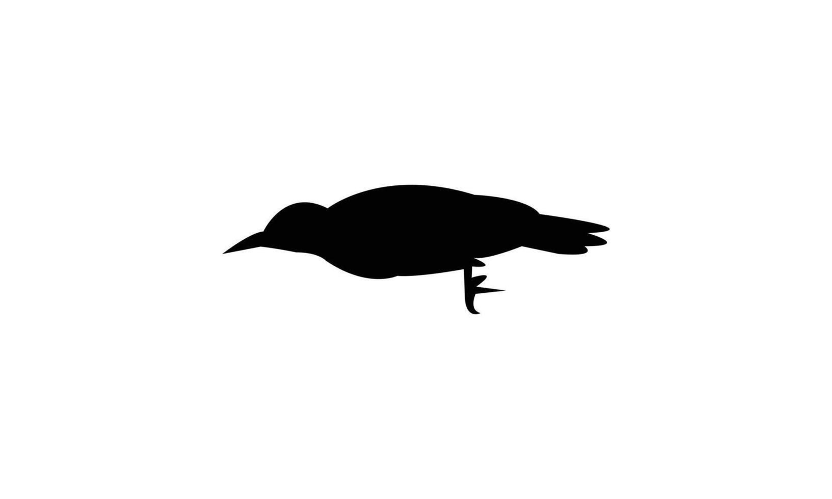 Flying African grey woodpecker bird Silhouette Design And Illustration. vector