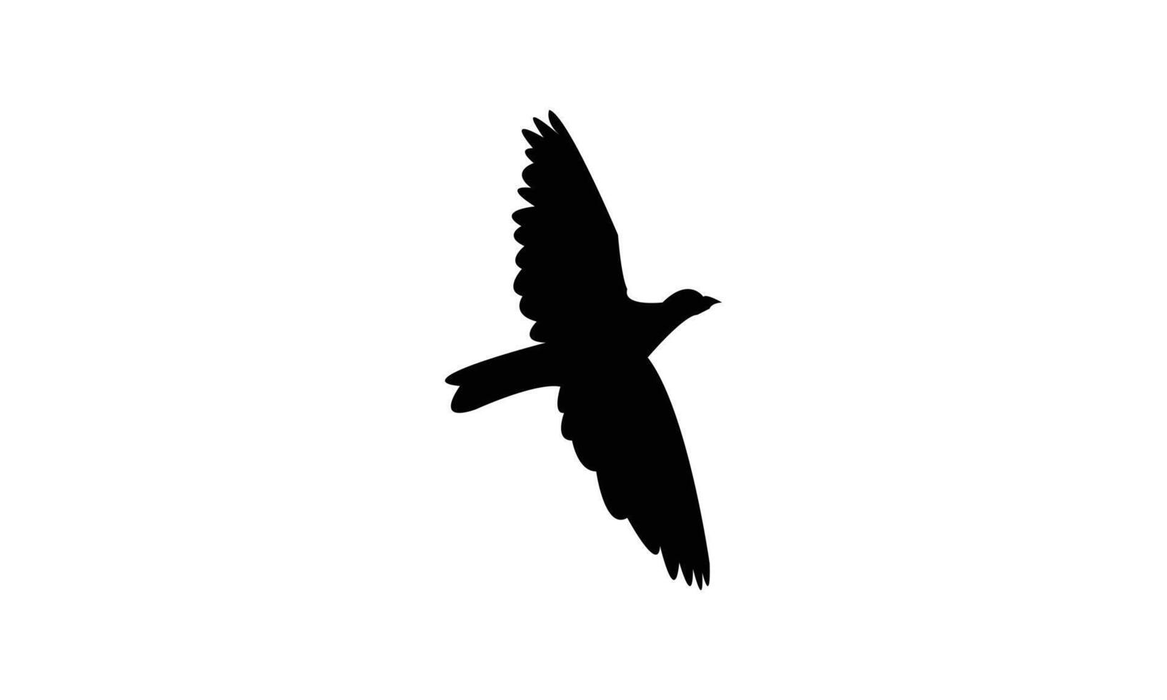 Flying African green pigeon bird Silhouette Design And Illustration. vector