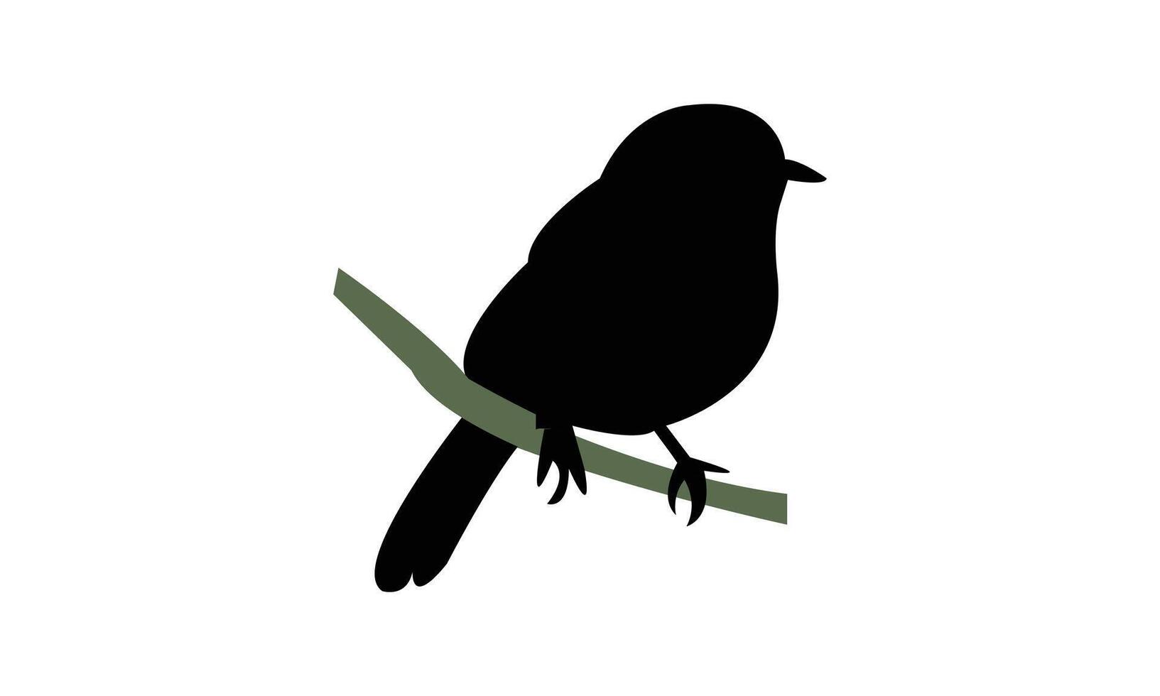 African grey flycatcher bird Silhouette Design And Illustration. vector