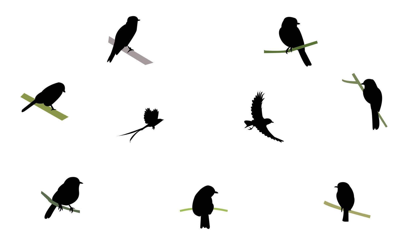 African grey flycatcher bird Silhouette Collection vector