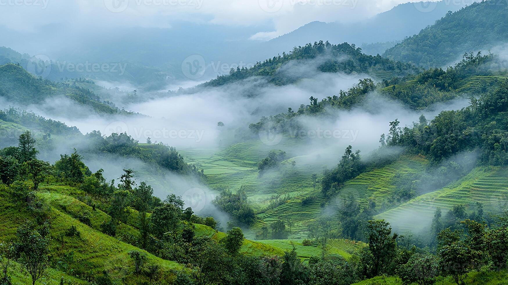 A valley with green hills and trees photo