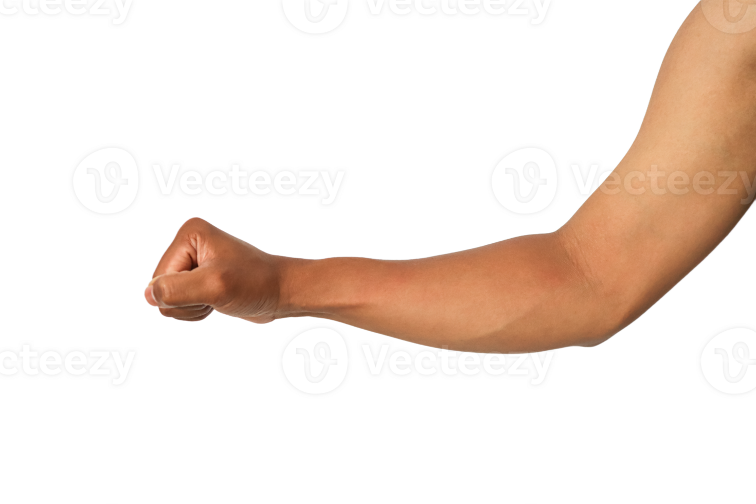 Brown Skin Arm Flexed Fist Studio Shot In Focus High Resolution Image No Watermarks No Defects Or png