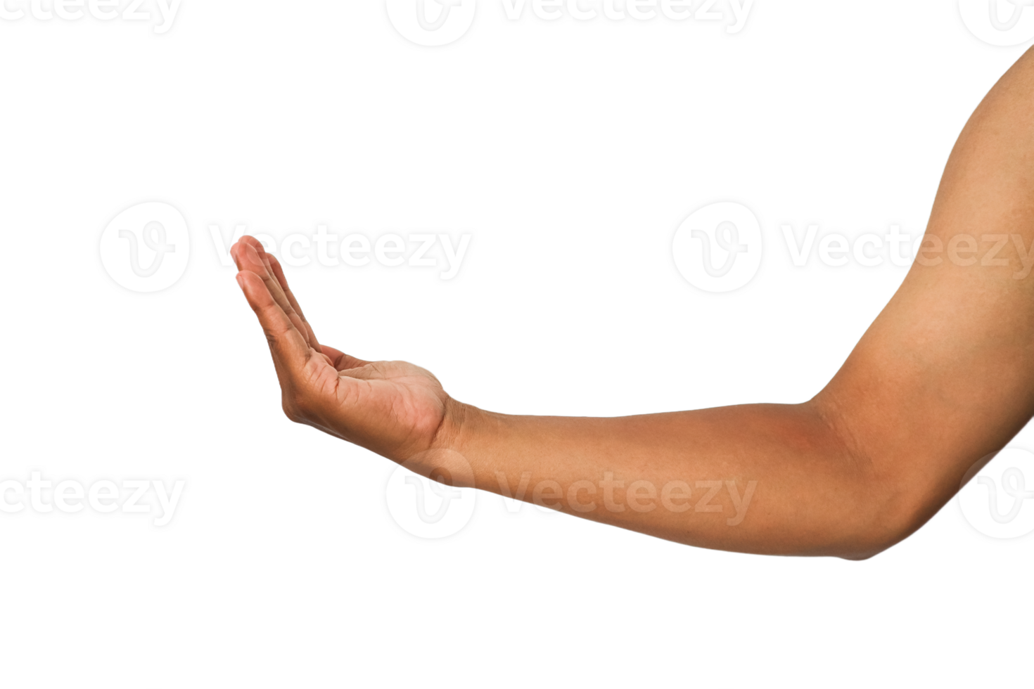 Open Brown Arm And Hand On Transparent Backgrounds With High Resolution Detail and Accurate Skin png