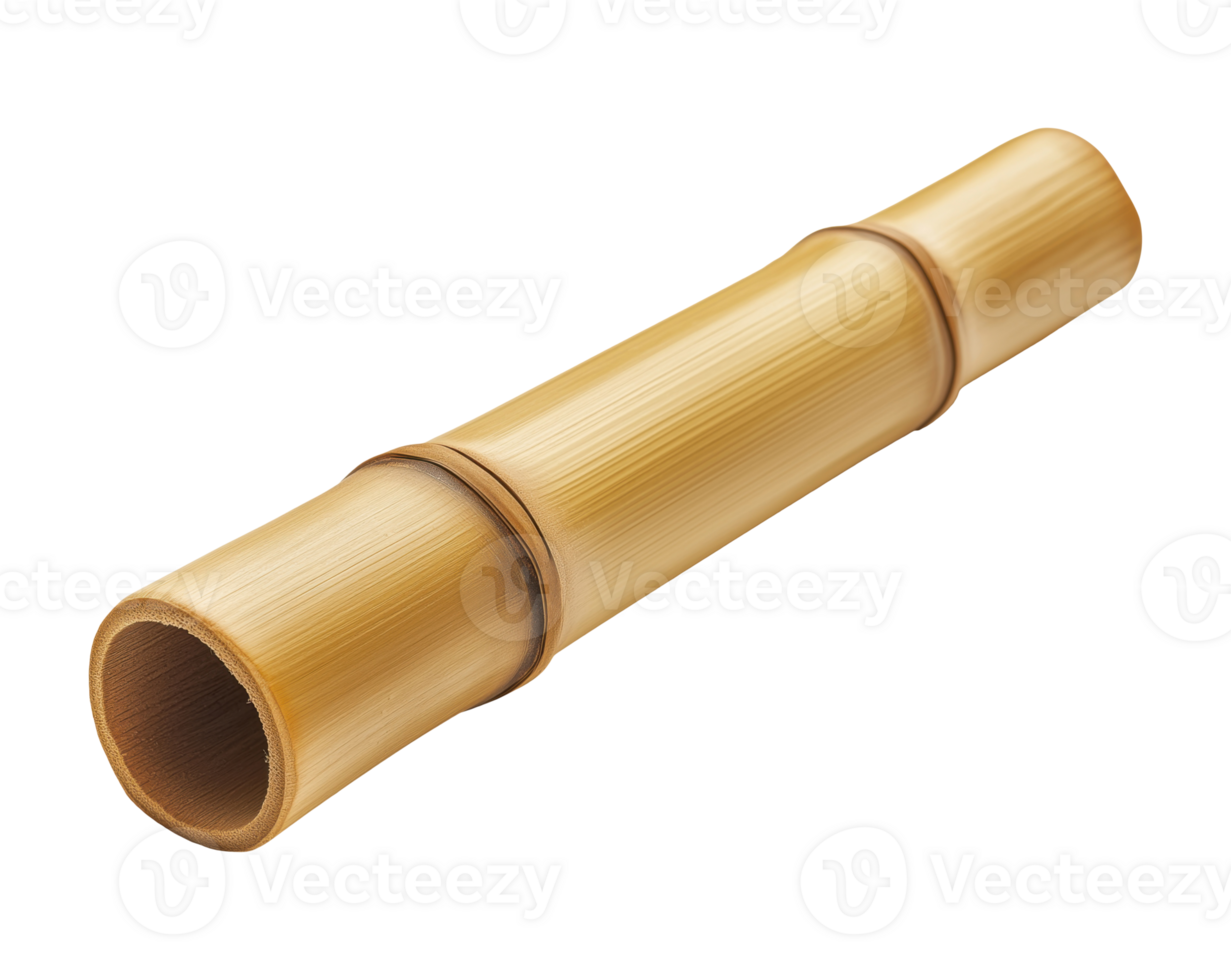 Piece of a bamboo trunk png