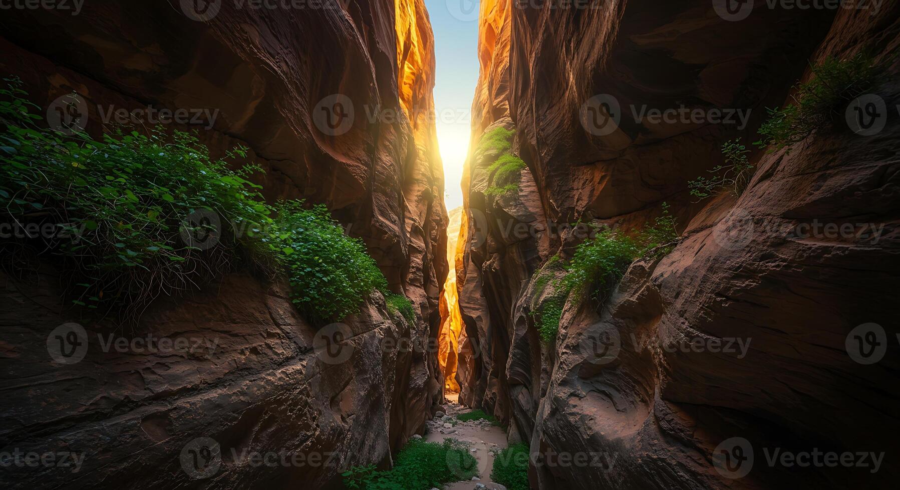Hiking Through Slot Canyon at Sunset with Green Plants Growing photo