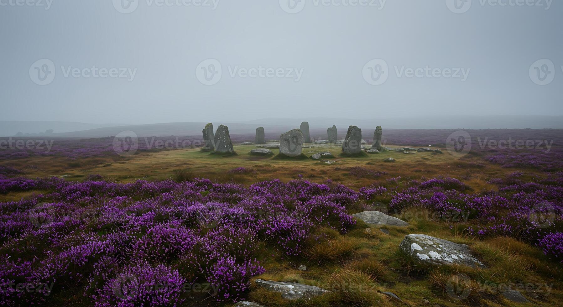 Standing Stone Circle in Heather Field on Foggy Moorland Landscape photo