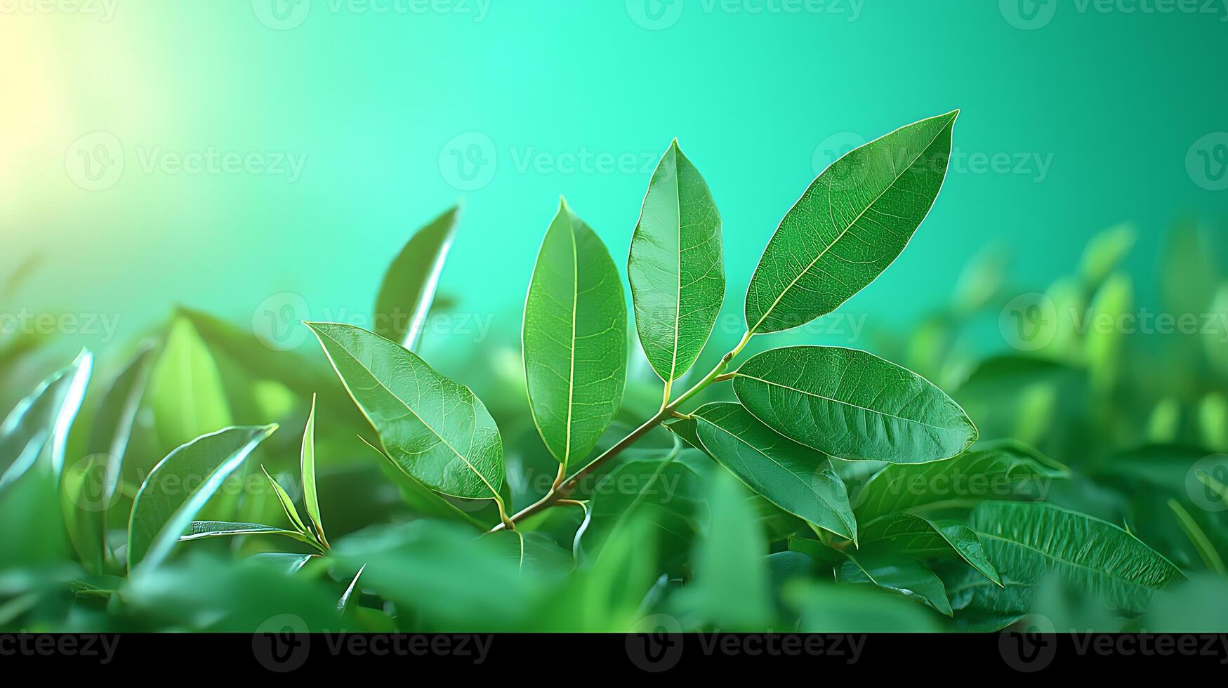 Close-up of vibrant green leaves against a soft gradient background, evoking freshness and nature photo