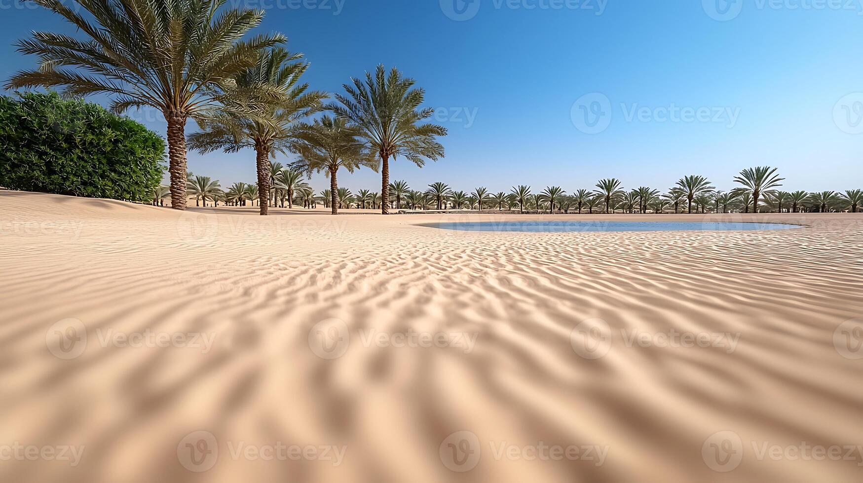 Serene desert landscape with palm trees and a tranquil pond under a clear blue sky photo