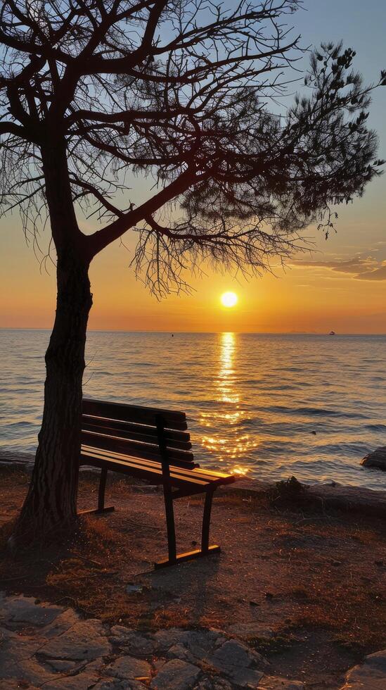 A tree with a bench photo