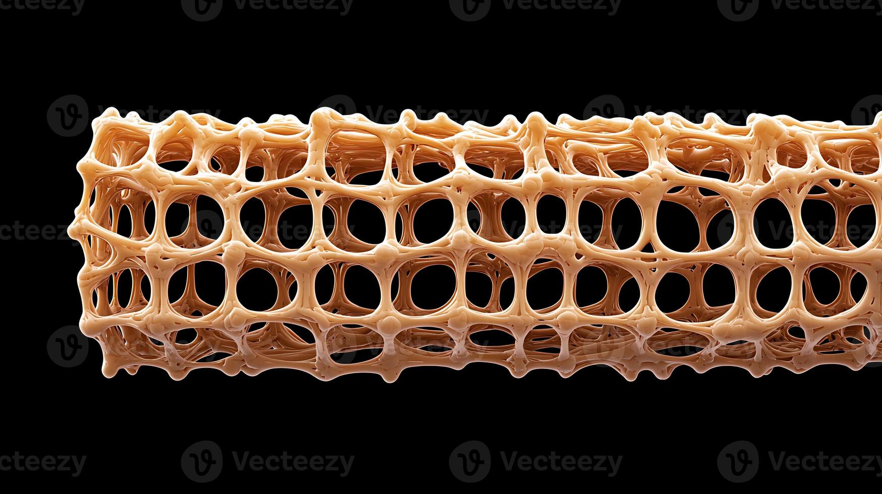 Close-up view of a porous, honeycomb-like structure showcasing intricate patterns and textures photo