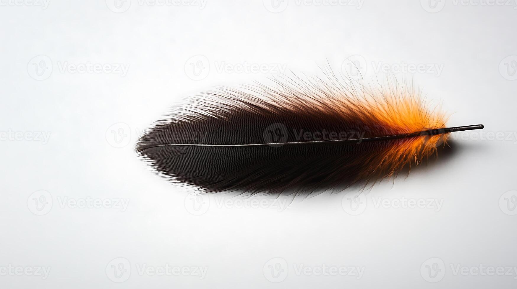 A close-up shot of a vibrant black and orange feather resting on a soft white surface photo