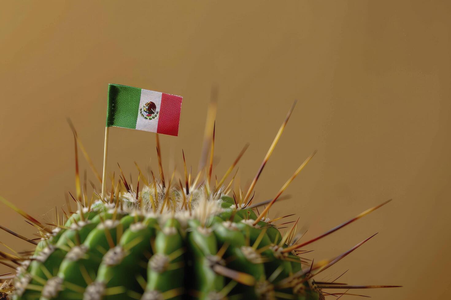 Mexican flag on cactus photo