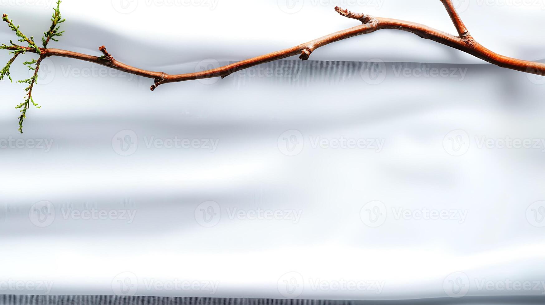 A delicate branch with green leaves resting on a smooth white fabric background, evoking tranquility photo