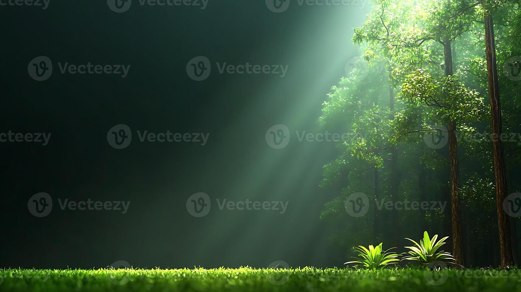 Serene forest scene with sunlight filtering through trees, highlighting lush greenery and tranquility photo